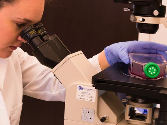 A student looks through a microscope in the Stevens Center