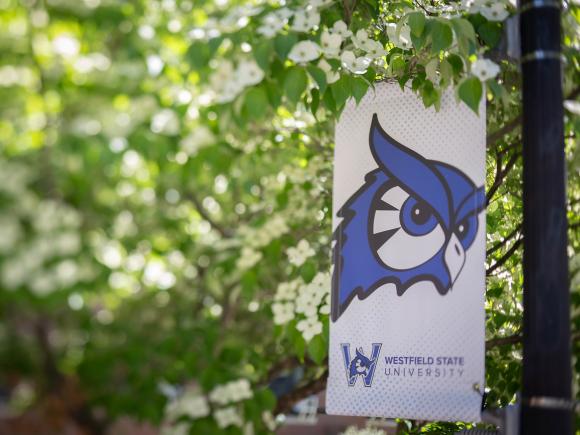Owl logo flag on a light post with flowering trees behind it.