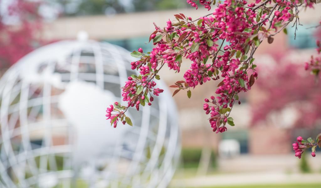 Trees in bloom on the campus tree with the Globe in the background