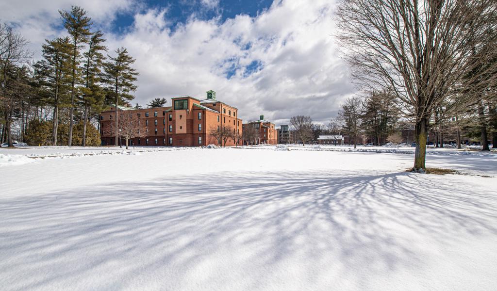 WSU campus in the winter with snow and blue skies with white clouds and trees.