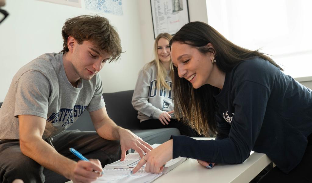 Students studying together in a group.